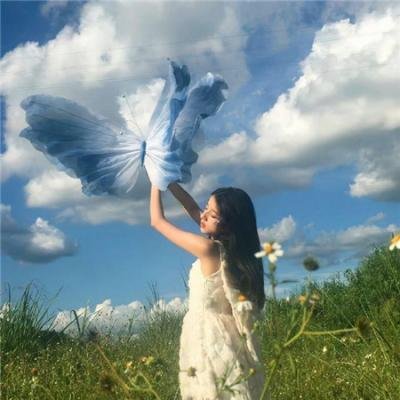 电影之爱：美国电影批评史